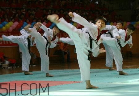 武術(shù)和跆拳道哪個(gè)對孩子好？武術(shù)和跆拳道的區(qū)別在哪里？