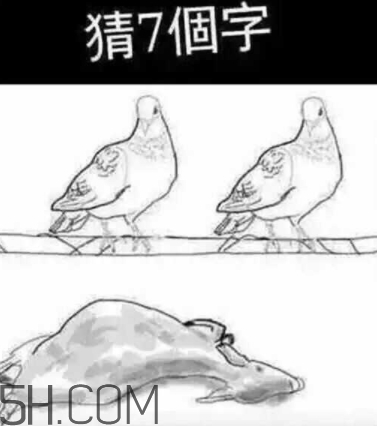 52422696代表什么意思？女生發(fā)52422696暗示什么