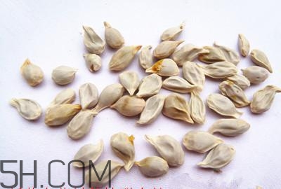 不小心吃了橘子籽怎么辦？橘子籽可以生吃嗎？