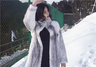 十字貂什么顏色最貴？十字貂價(jià)格
