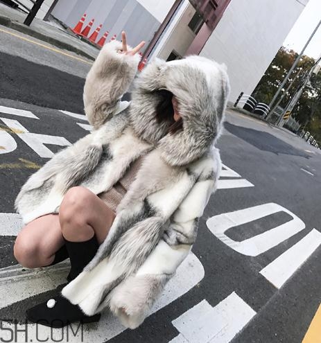 十字貂和水貂哪個(gè)好？十字貂和水貂哪個(gè)貴？