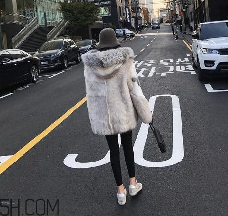十字貂和水貂哪個(gè)好？十字貂和水貂哪個(gè)貴？