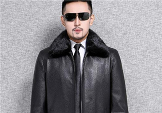 黃金貂內膽真假怎么看？黃金貂內膽真假界別