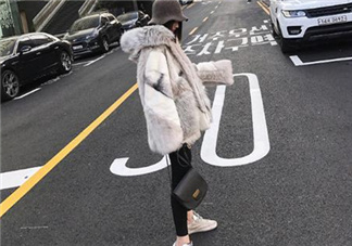 十字貂和水貂哪個(gè)好？十字貂和水貂哪個(gè)貴？