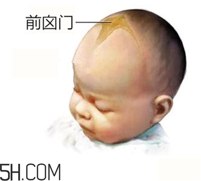 寶寶囟門是怎樣的一個(gè)部位？寶寶的囟門要怎樣保護(hù)比較好？