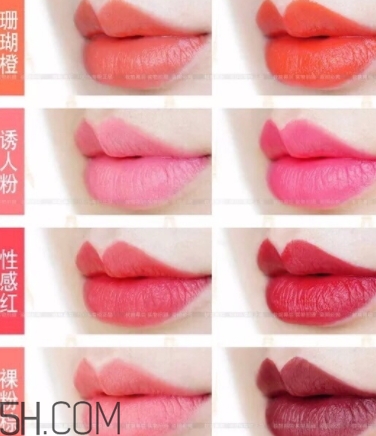 唇膏盤怎么用？口紅盤怎么用法