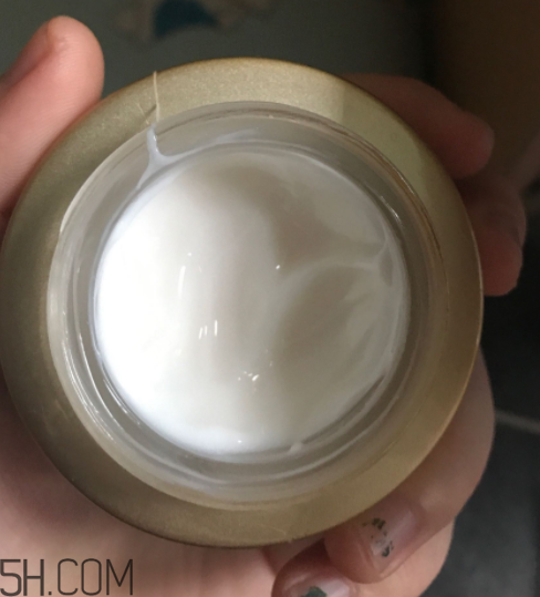 詩婷露雅蝸牛面霜適合秋冬嗎？適合油皮嗎？