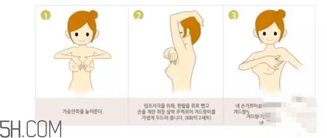 常見(jiàn)的豐胸湯有哪些？女人豐胸湯有哪些？