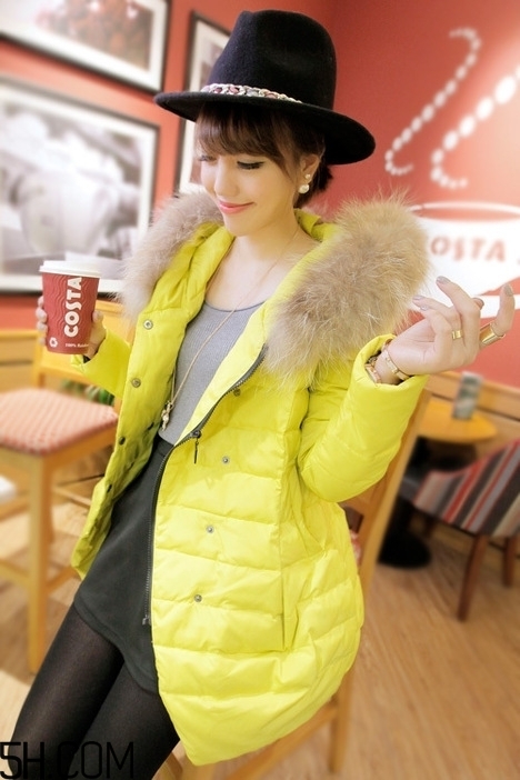 最貴的羽絨服什么價(jià)格？羽絨服什么牌子的好？