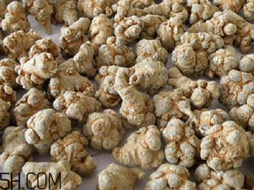 三七粉苦的好還是不苦的好？三七粉越苦越好嗎？