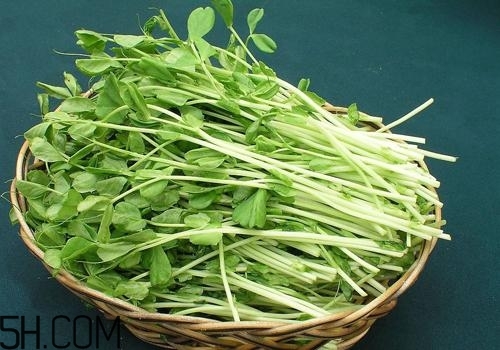 女性吃什么能瘦臉？能瘦臉的食物有哪些？