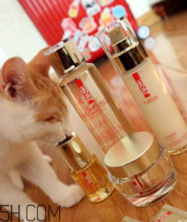 羽西蟲草新肌水有什么功效？適合什么膚質(zhì)？