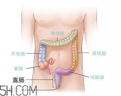 宿便有什么危害？如何清除宿便？