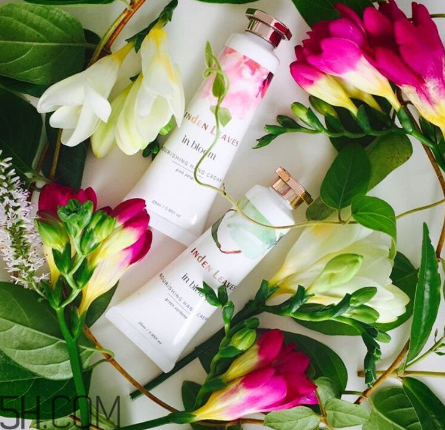 linden leaves香氛護(hù)手霜好用嗎？laura ashley護(hù)手霜好用嗎？