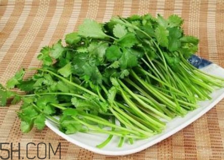 香菜根煮水怎么煮？香菜根煮水喝幾天見效？