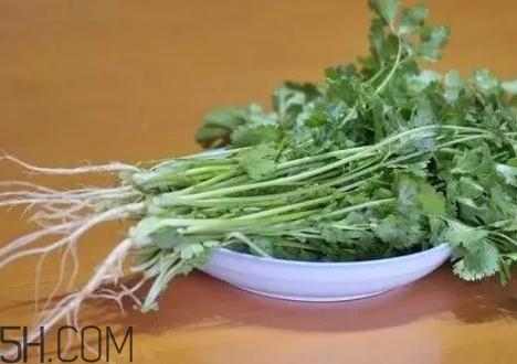 香菜根煮水能減肥嗎？香菜根煮水能天天喝嗎？