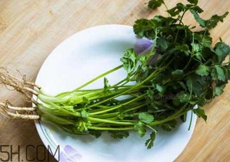 香菜根煮水能減肥嗎？香菜根煮水能天天喝嗎？