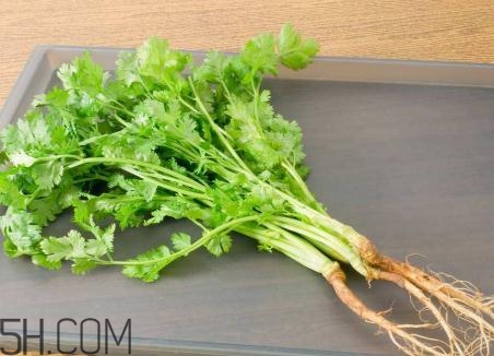 香菜根煮水能美白嗎？香菜根煮水能祛斑嗎？