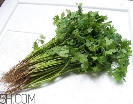 香菜根煮水能美白嗎？香菜根煮水能祛斑嗎？