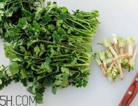 香菜根煮水能退燒嗎？香菜根煮水能治咳嗽嗎？