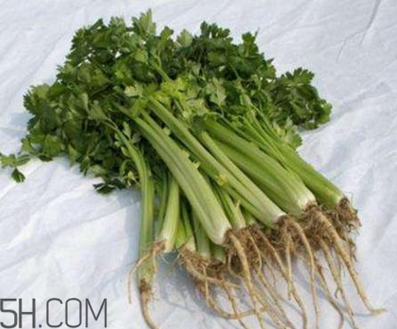 香菜根煮水能退燒嗎？香菜根煮水能治咳嗽嗎？