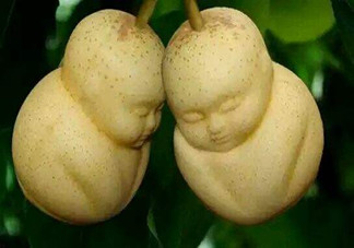 女人吃人參果有哪些好處？人參果的營養(yǎng)價值是什么？