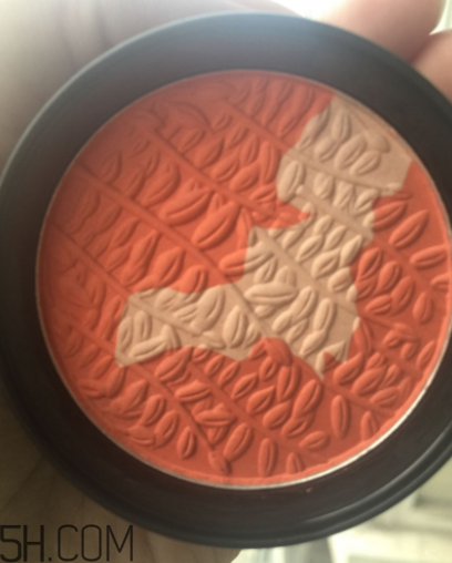 瑪麗黛佳腮紅怎么打？瑪麗黛佳腮紅怎么用？