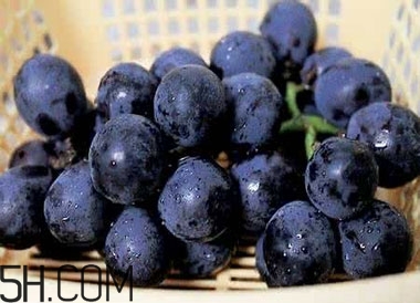 吃黑加侖對眼睛有什么好處？吃黑加侖要注意什么？