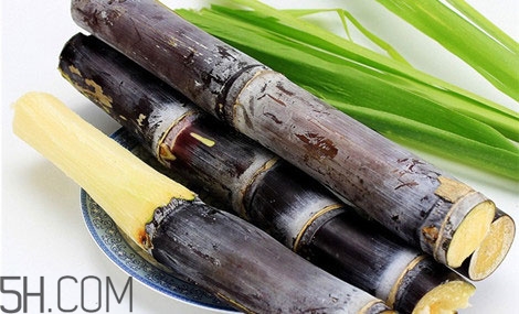 吃完甘蔗多久可以吃柿子？甘蔗和柿子一起吃了怎么辦？