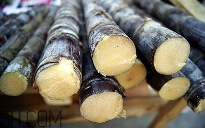 甘蔗和橙子能一起吃嗎？吃完甘蔗可以吃橙子嗎？