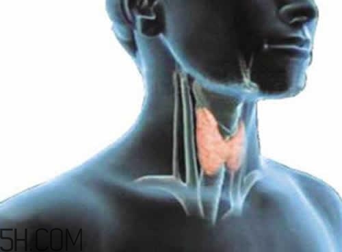 甲狀腺腫大和甲亢的區(qū)別有哪些？甲狀腺腫大適合吃什么食物？