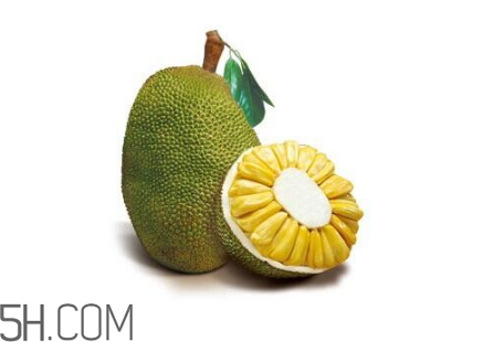 為什么吃菠蘿蜜拉肚子？吃菠蘿蜜拉肚子怎么辦？