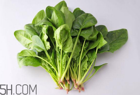 羊肉和菠菜能一起吃嗎？吃羊肉能吃菠菜嗎？