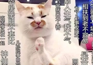 佛系妝是什么妝？佛系妝容輕松打造
