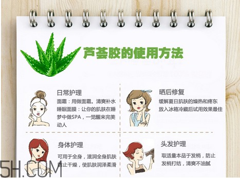 蘆薈膠的功效和作用有哪些？教你蘆薈膠的正確使用方法