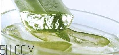 擠痘痘后可以涂蘆薈膠嗎？涂抹維生素e和蘆薈膠的作用