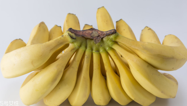 猴子為什么愛(ài)吃香蕉？熱量高營(yíng)養(yǎng)多令人高興