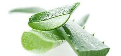 嘴唇干裂能用蘆薈膠嗎？鼻子脫皮也可以用蘆薈膠