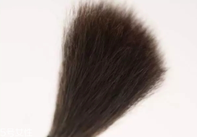高光刷哪個牌子好？好用到哭的高光刷