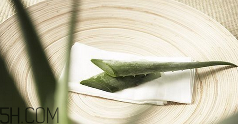 蘆薈膠吃了會(huì)怎樣？蘆薈膠的吃法