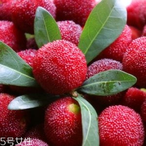 新鮮楊梅如何做酸梅湯？楊梅湯兩做法