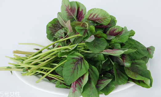 吃莧菜可以減肥嗎？減肥食物熱量排行榜