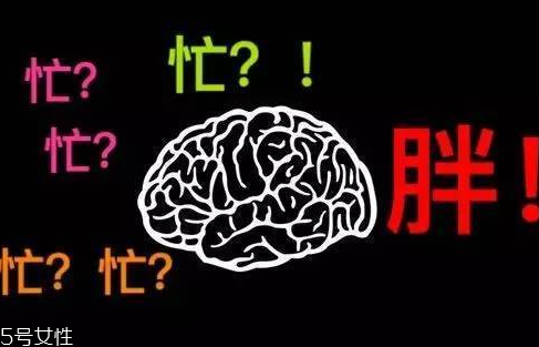 久坐不動(dòng)上班族如何減肥？越努力工作的人越容易發(fā)胖