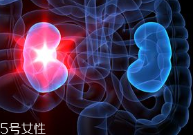 腎病為什么會發(fā)展到尿毒癥？這些因素一定要注意