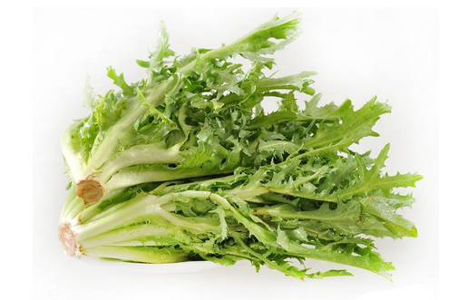 苦菊小孩能吃嗎？小孩吃苦菊促進(jìn)腦部發(fā)育