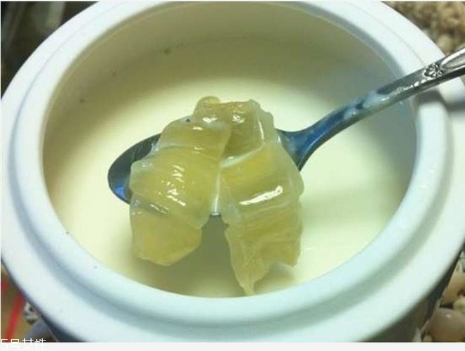花膠燉牛奶的功效與作用？保養(yǎng)皮膚效果好