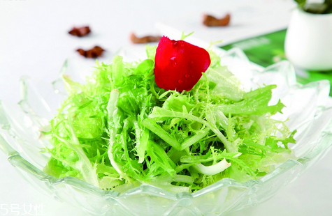 苦菊可以生吃嗎？營養(yǎng)健康苦菊菜做法