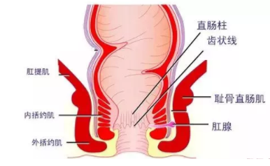 肛瘺非手術(shù)治療才可以嗎？手術(shù)是治療的關(guān)鍵途徑