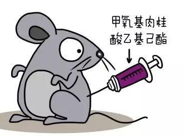 自然堂隔離霜孕婦可以用嗎？含有孕婦禁用成分