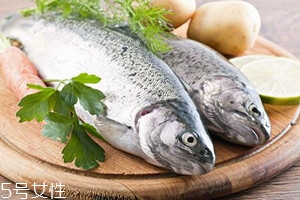 冬天吃魚有何禁忌？四大禁忌需注意